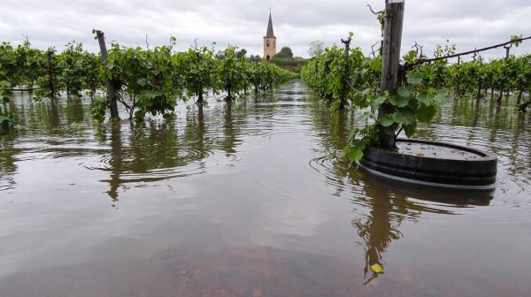 Les secrets méconnus des dégâts des eaux en Gironde
